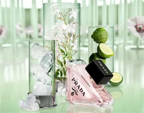 Prada paradoxe virtual flower